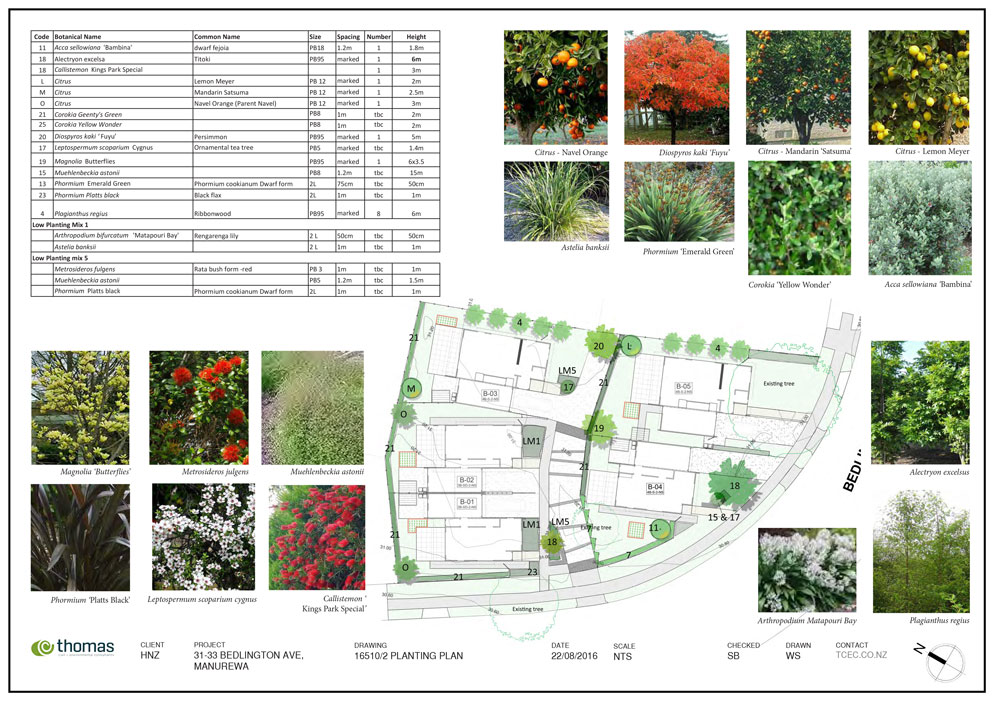 Planting Plans Subdivision, How To Plan A Garden Nz
